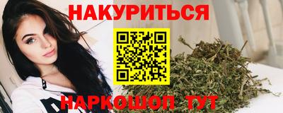 индика Кандалакша