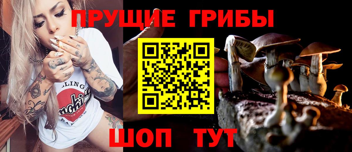 Псилоцибиновые грибы Magic Shrooms Кузнецк